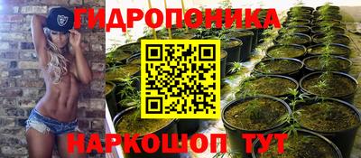 spice Можга