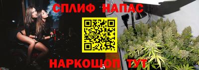 молекула духа Моздок