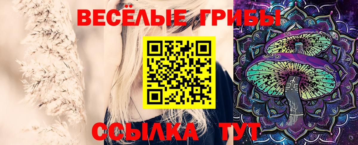 Галлюциногенные грибы ЛСД  Вход с VPN  Черкесск 